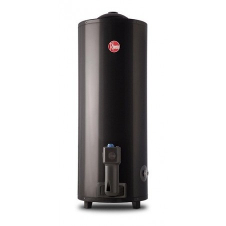 Termotanque a Gas Rheem 80 Ltrs. Super Ofertas en Ibaceta Online.