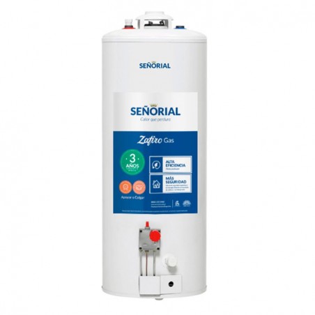 Termotanque a Gas Señorial 85Ltrs - Entrega inmediata - Oferta Ibaceta