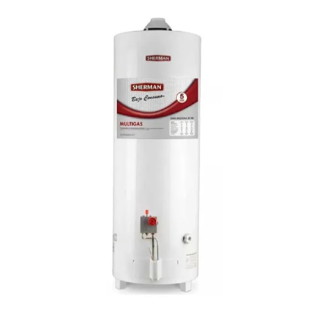 Termotanque Multigas Sherman con Purificador 80LT TPGP080MSH13 - Oferta Ibaceta