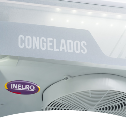 Exhibidora Vertical Congelados BT17 428 Litros Menos 12 °C